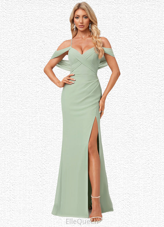 Alaina Trumpet/Mermaid V-Neck Floor-Length Chiffon Bridesmaid Dress DGP0022587