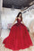 Burgundy Ball Gown V neck Spaghetti Straps Tulle Prom Dresses with Appliques SRS15083