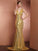 V-neck Sleeveless A-Line/Princess Lace Long Satin Dresses