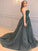 Applique A-Line/Princess Tulle Court Sweetheart Sleeveless Train Plus Size Dresses