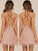 A-Line/Princess Sleeveless Tulle Halter Ruffles Short/Mini Dresses