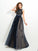 Sleeveless Neck A-Line/Princess Applique Sheer Long Tulle Dresses