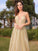 Sweep/Brush Train Sleeveless A-Line/Princess V-neck Ruched Tulle Dresses