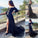 Train Trumpet/Mermaid Long Sweep/Brush Sleeves Off-the-Shoulder Tulle Lace Dresses